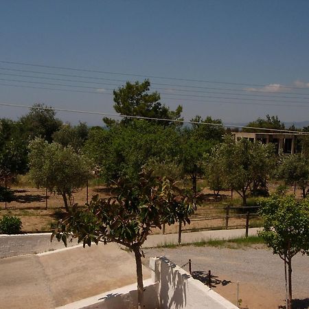 Pefki  Maria Apartments מראה חיצוני תמונה