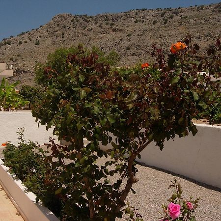 Pefki  Maria Apartments מראה חיצוני תמונה