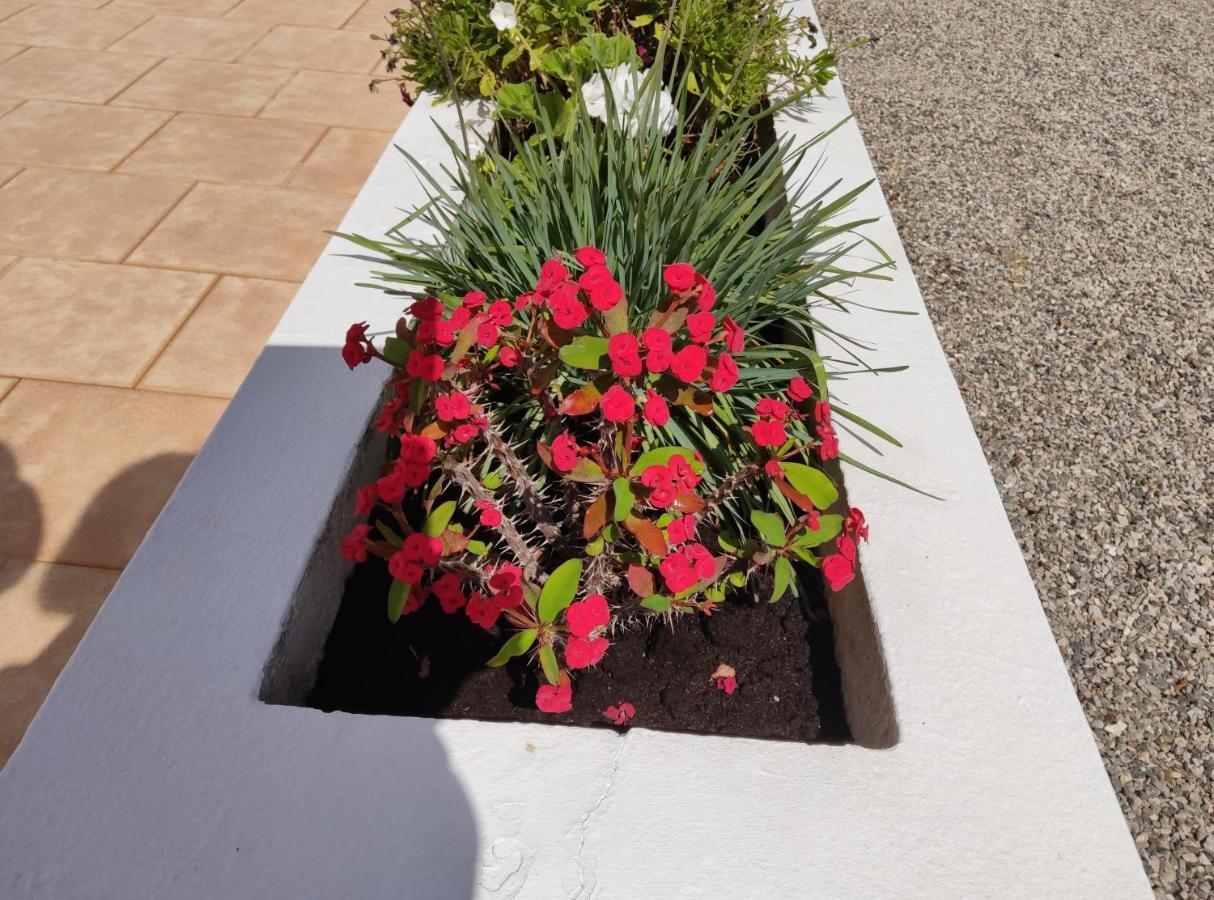 Pefki  Maria Apartments מראה חיצוני תמונה